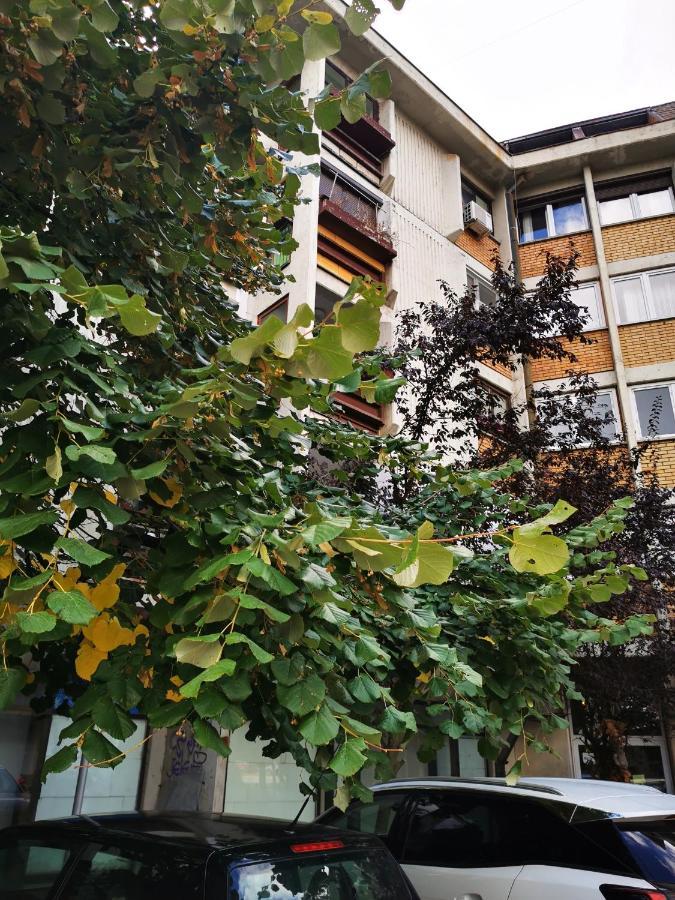Apartamento T&A Paraćin Exterior foto
